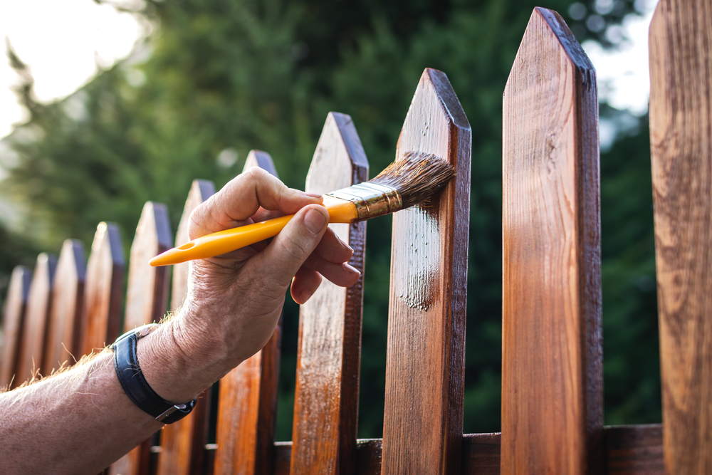 Fence Painting